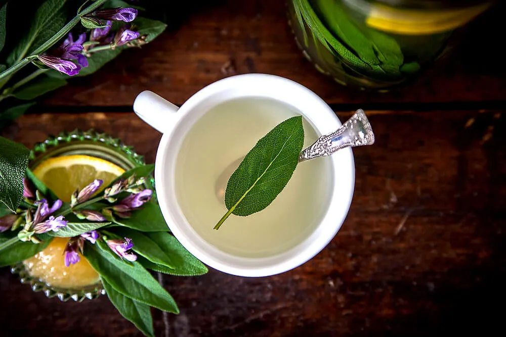 Günde Bir Fincan Limonlu Adaçayına Ne Dersin?