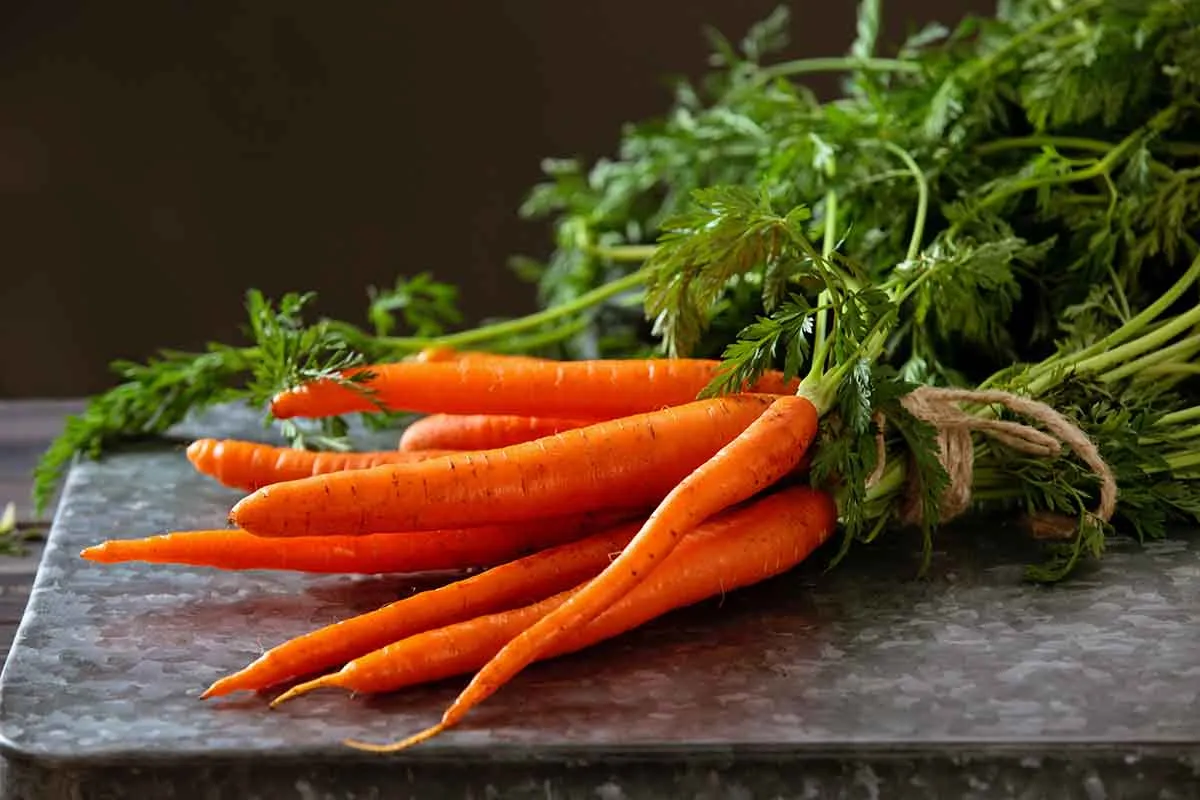 Havuç Salatası ile İçten Dışa Parlayan Bir Cilt