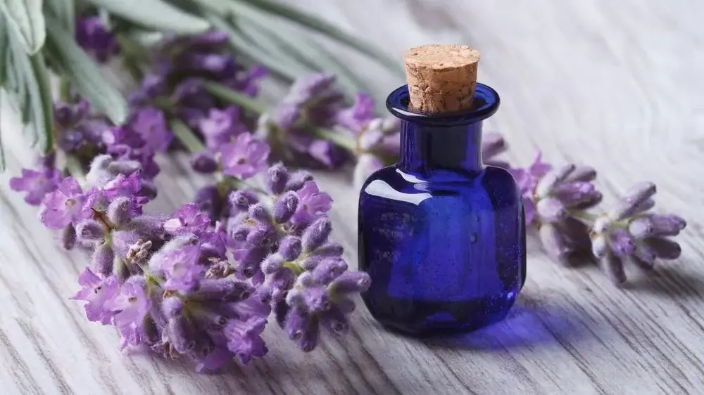 Lavanta-ve-cay-agaci-yagi-ile-dogal-dezenfektan